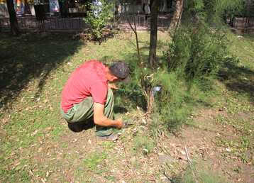 servicii publice iasi salubrizare parc