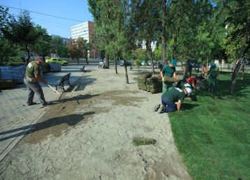 servicii publice iasi parc orasel