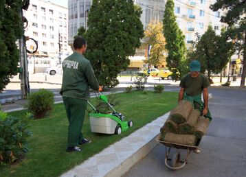 servicii publice iasi piata unirii