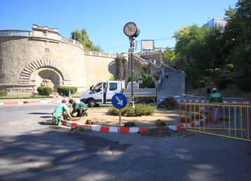 servicii publice iasi rapa galbena