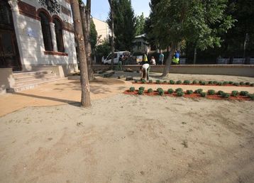 servicii publice iasi gazon la Școala Primară Carol I