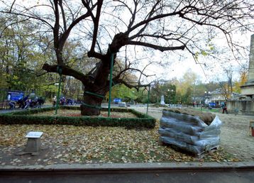 servicii publice iasi amenajare Parcul Copou