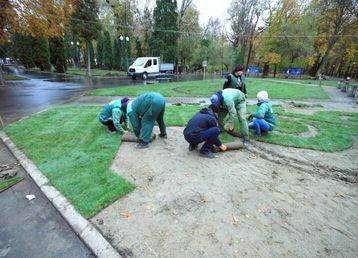 servicii publice iasi amenajare Parcul Copou