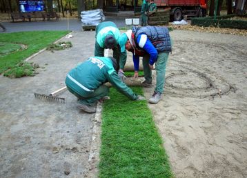 servicii publice iasi amenajare Parcul Copou