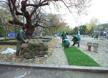 servicii publice iasi amenajare Parcul Copou