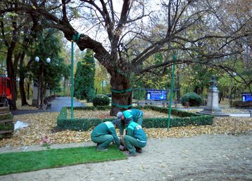 servicii publice iasi amenajare Parcul Copou