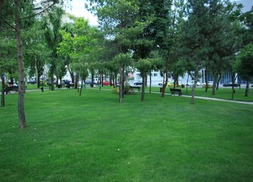 servicii publice iasi amenajare Parcul Bărboi