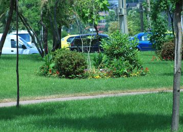 servicii publice iasi amenajare Parcul Bărboi