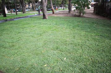 servicii publice iasi Parcul Voievozilor, Parcul Gulliver, Parcul Copou, intretinere spatii verzi