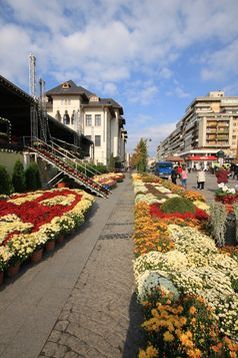 servicii publice iasi Sărbătorile Iașului