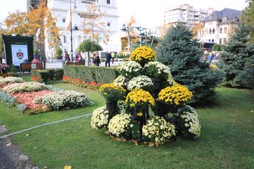 servicii publice iasi Sărbătorile Iașului