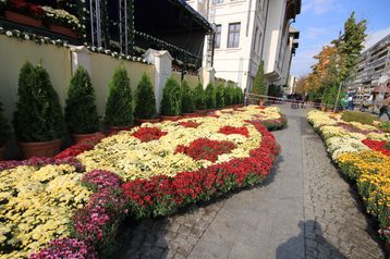 servicii publice iasi Sărbătorile Iașului