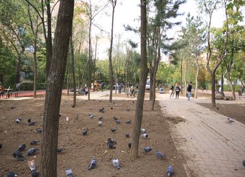 servicii publice iasi parcul voievozilor