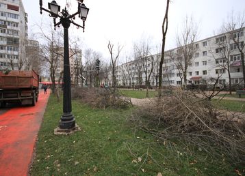 servicii publice iasi parcul voievozilor