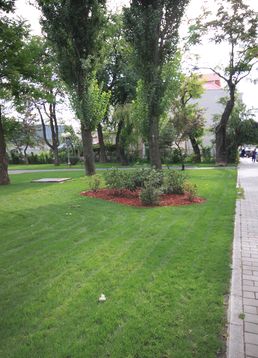 servicii publice iasi parcul gulliver