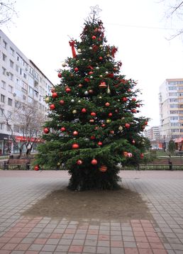 servicii publice iasi Craciun 2017 decembrie