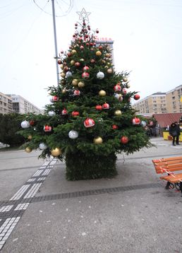 servicii publice iasi Craciun 2017 decembrie