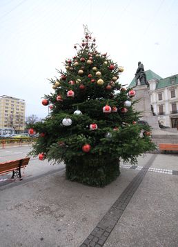 servicii publice iasi Craciun 2017 decembrie