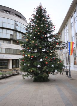 servicii publice iasi Craciun 2017 decembrie