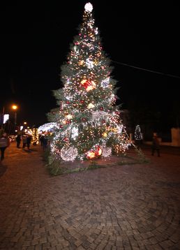 servicii publice iasi Craciun 2017 decembrie