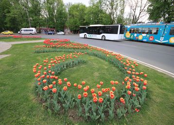 servicii publice iasi parcul gulliver