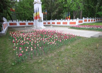 servicii publice iasi parcul gulliver