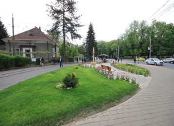 servicii publice iasi parcul copou