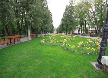 servicii publice iasi parcul copou