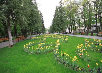 servicii publice iasi parcul copou