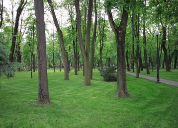 servicii publice iasi parcul copou