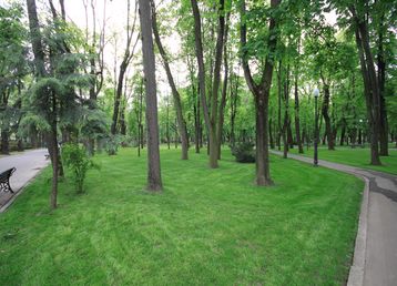 servicii publice iasi parcul copou