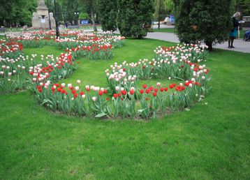 servicii publice iasi parcul copou