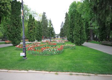 servicii publice iasi parcul copou