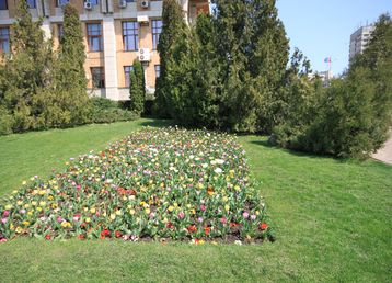 servicii publice iasi pietonal stefan cel mare