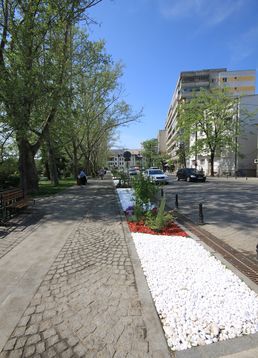 servicii publice iasi zona centrala