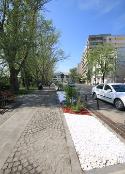 servicii publice iasi zona centrala