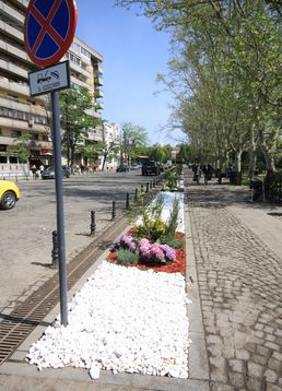 servicii publice iasi zona centrala