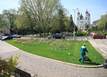 servicii publice iasi zona centrala