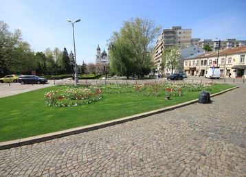 servicii publice iasi zona centrala