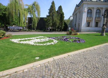 servicii publice iasi zona centrala