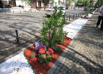 servicii publice iasi zona centrala