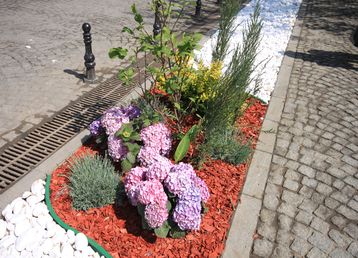 servicii publice iasi zona centrala