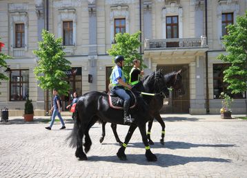 servicii publice iasi zona centrala