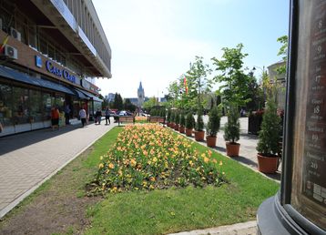 servicii publice iasi - Zona Centrală