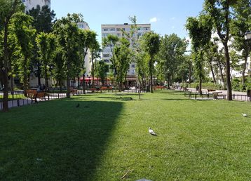 servicii publice iasi parcul voievozilor