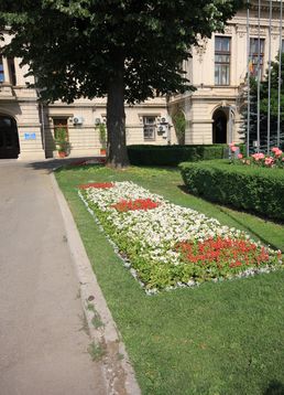 servicii publice iasi pietonal stefan cel mare