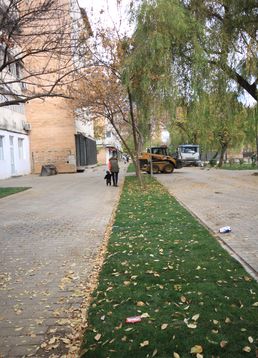 servicii publice iasi strada magurii