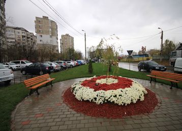 servicii publice iasi strada tabacului