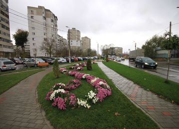 servicii publice iasi - strada Tabacului