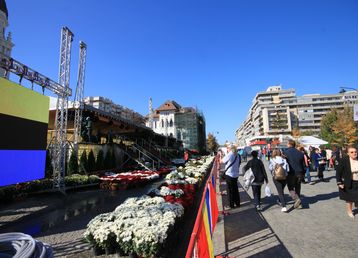 servicii publice iasi - Sf. Parascheva